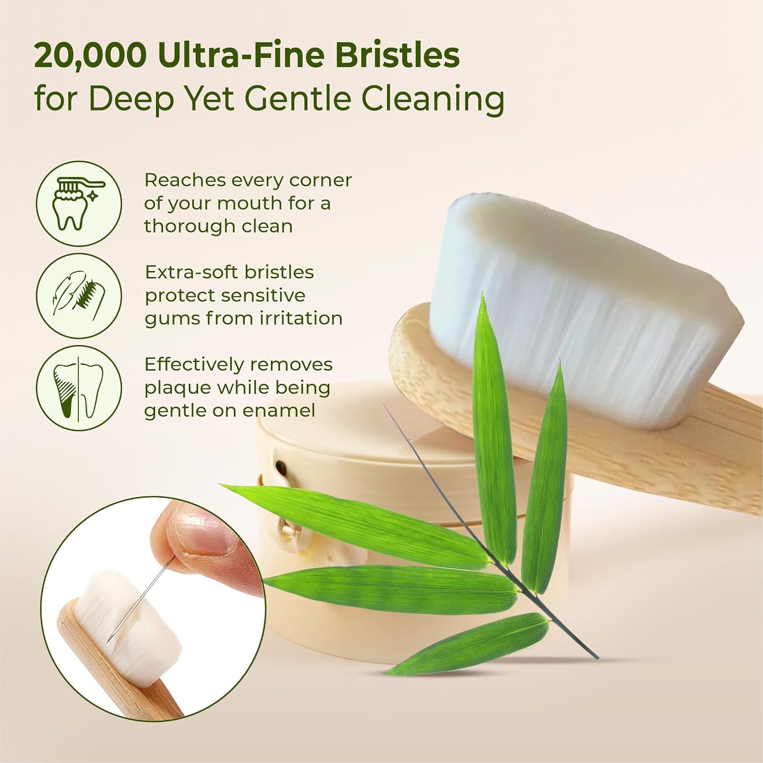 Eco Friendly Wooden Bamboo Toothbrush With Protective Travel Case 1 Pc